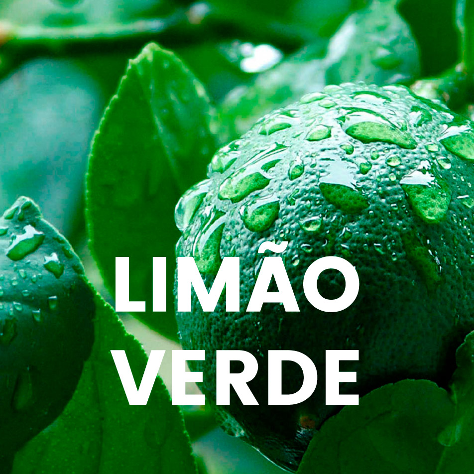 Aroma profissional Limão verde
