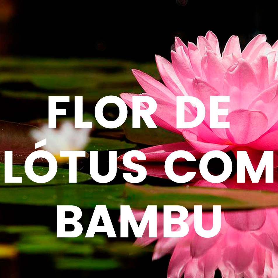 Aroma comercial – Flor de lótus com bambu