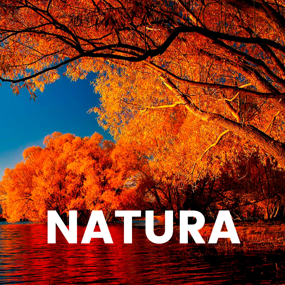 Aroma comercial – Natura